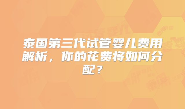泰国第三代试管婴儿费用解析，你的花费将如何分配？