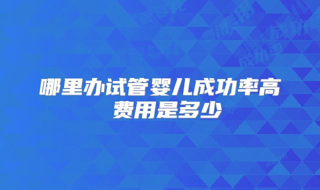 哪里办试管婴儿成功率高 费用是多少