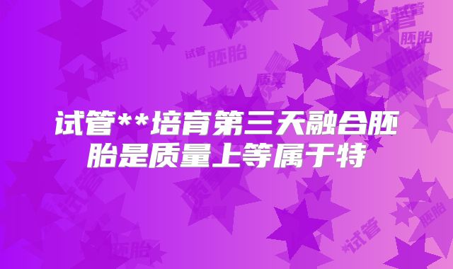 试管**培育第三天融合胚胎是质量上等属于特