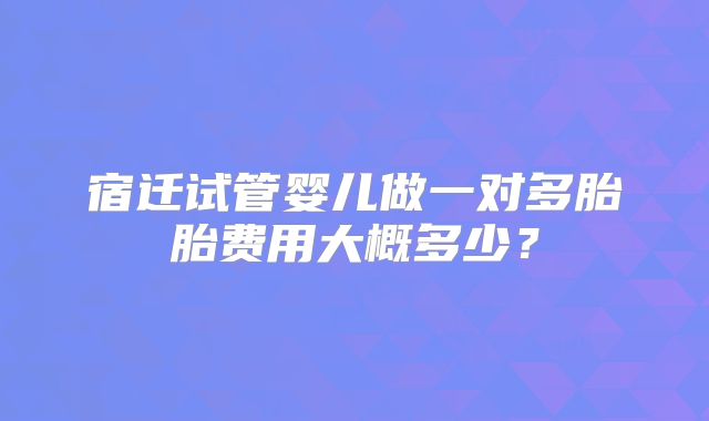 宿迁试管婴儿做一对多胎胎费用大概多少？