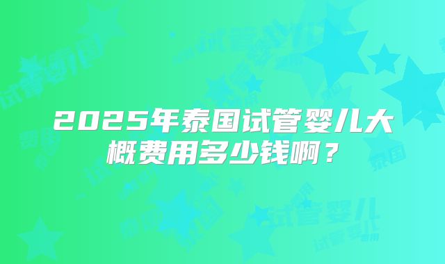 2025年泰国试管婴儿大概费用多少钱啊？
