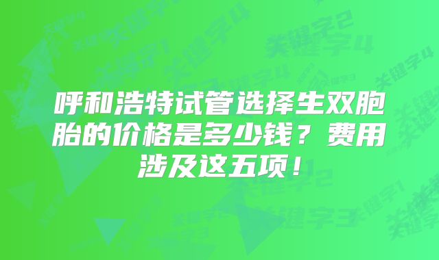 呼和浩特试管选择生双胞胎的价格是多少钱？费用涉及这五项！