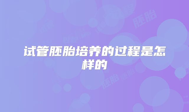试管胚胎培养的过程是怎样的