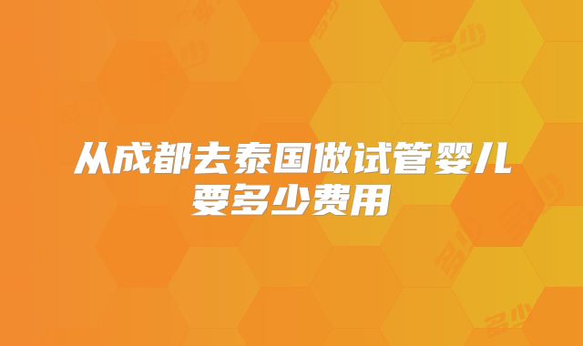 从成都去泰国做试管婴儿要多少费用