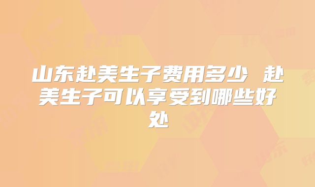 山东赴美生子费用多少 赴美生子可以享受到哪些好处