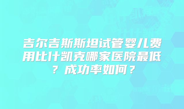 吉尔吉斯斯坦试管婴儿费用比什凯克哪家医院最低?成功率如何?