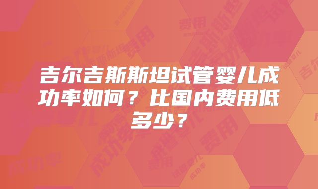 吉尔吉斯斯坦试管婴儿成功率如何?比国内费用低多少?
