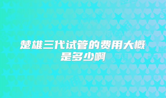 楚雄三代试管的费用大概是多少啊