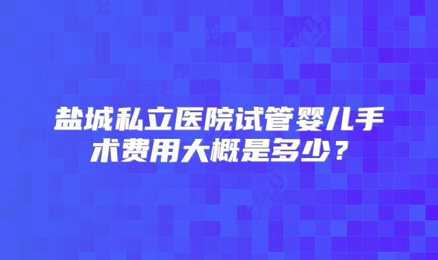 盐城私立医院试管婴儿手术费用大概是多少？