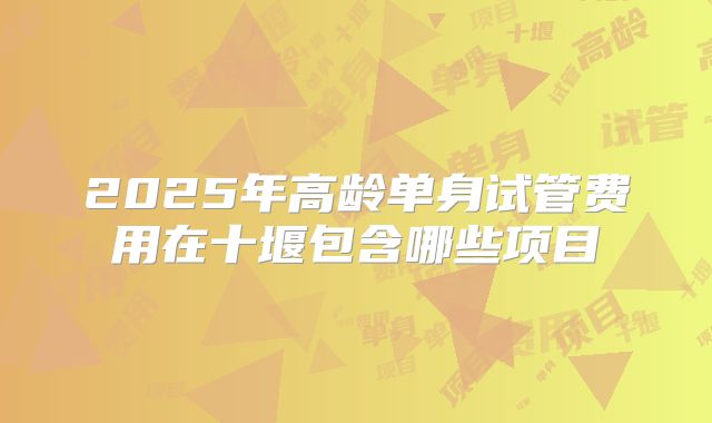 2025年高龄单身试管费用在十堰包含哪些项目