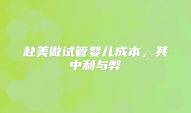 赴美做试管婴儿成本,其中利与弊
