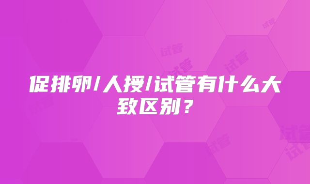 促排卵/人授/试管有什么大致区别？