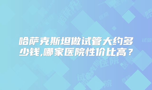 哈萨克斯坦做试管大约多少钱,哪家医院性价比高?