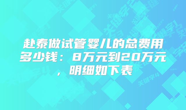 赴泰做试管婴儿的总费用多少钱：8万元到20万元，明细如下表