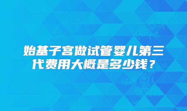始基子宫做试管婴儿第三代费用大概是多少钱?