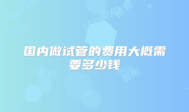 国内做试管的费用大概需要多少钱