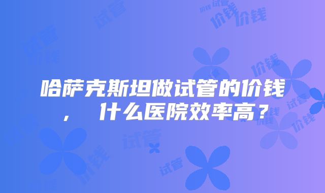 哈萨克斯坦做试管的价钱， 什么医院效率高？