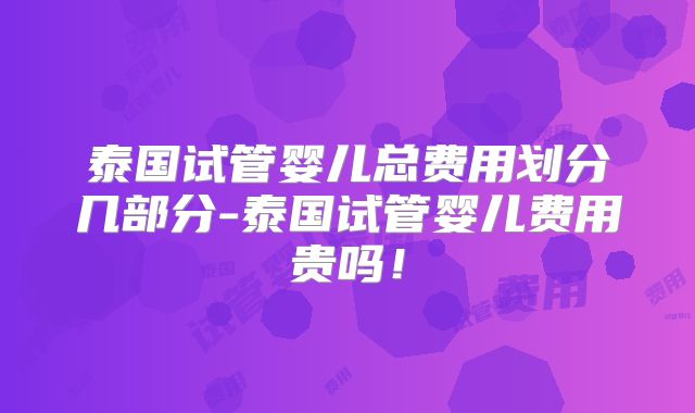 泰国试管婴儿总费用划分几部分-泰国试管婴儿费用贵吗!