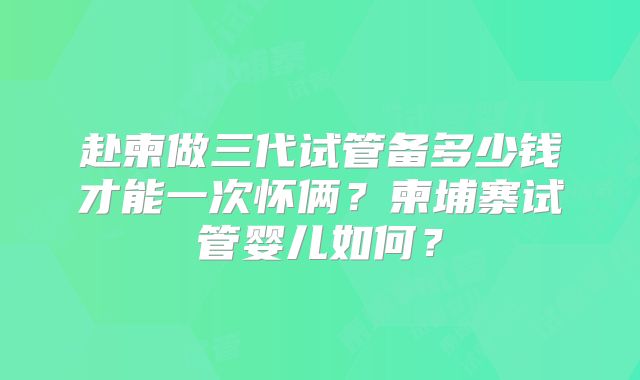 赴柬做三代试管备多少钱才能一次怀俩？柬埔寨试管婴儿如何？