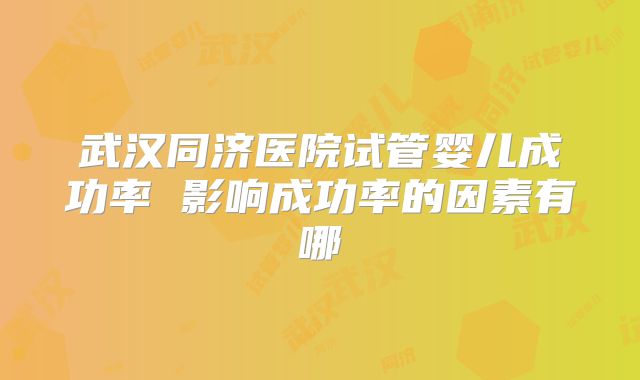 武汉同济医院试管婴儿成功率 影响成功率的因素有哪