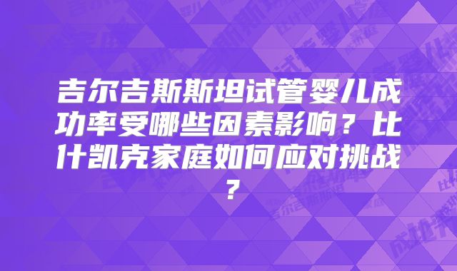 吉尔吉斯斯坦试管婴儿成功率受哪些因素影响？比什凯克家庭如何应对挑战？