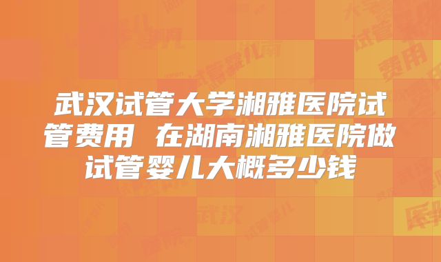 武汉试管大学湘雅医院试管费用 在湖南湘雅医院做试管婴儿大概多少钱