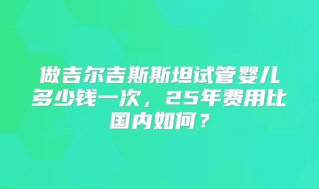 做吉尔吉斯斯坦试管婴儿多少钱一次，25年费用比国内如何？