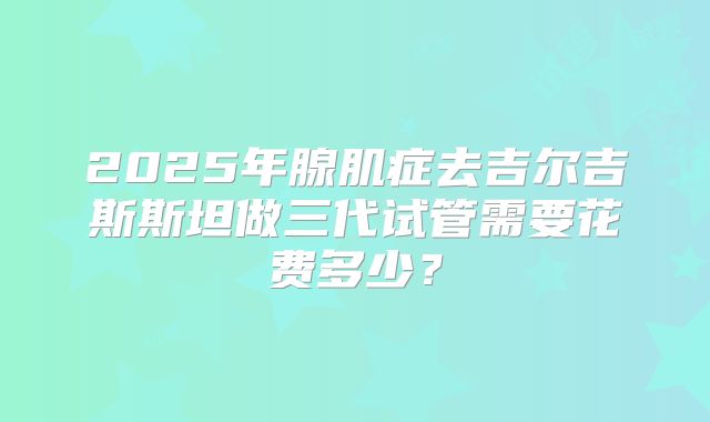 2025年腺肌症去吉尔吉斯斯坦做三代试管需要花费多少？