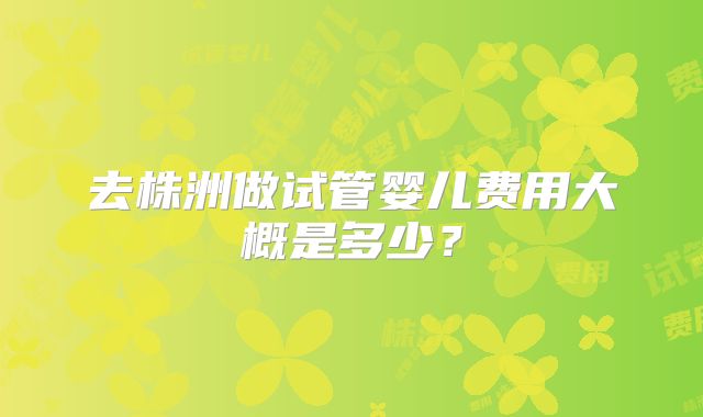 去株洲做试管婴儿费用大概是多少？