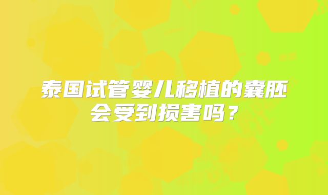 泰国试管婴儿移植的囊胚会受到损害吗?