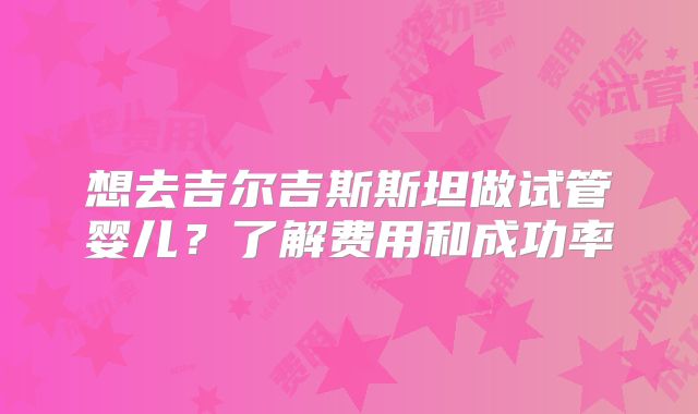 想去吉尔吉斯斯坦做试管婴儿?了解费用和成功率