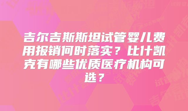 吉尔吉斯斯坦试管婴儿费用报销何时落实？比什凯克有哪些优质医疗机构可选？