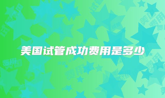 美国试管成功费用是多少