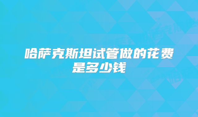 哈萨克斯坦试管做的花费是多少钱