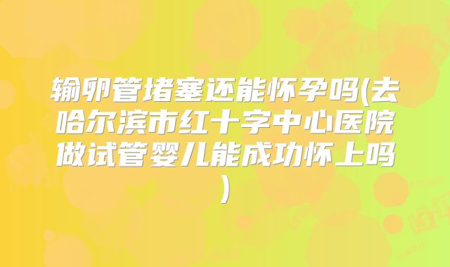 输卵管堵塞还能怀孕吗(去哈尔滨市红十字中心医院做试管婴儿能成功怀上吗)