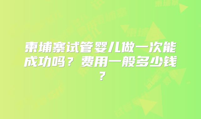 柬埔寨试管婴儿做一次能成功吗?费用一般多少钱?