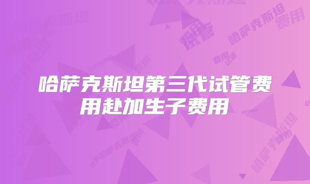 哈萨克斯坦第三代试管费用赴加生子费用