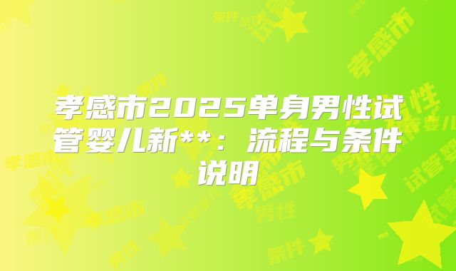 孝感市2025单身男性试管婴儿新**：流程与条件说明