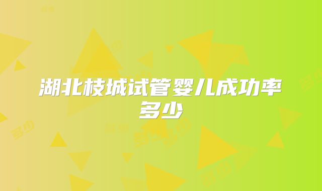 湖北枝城试管婴儿成功率多少