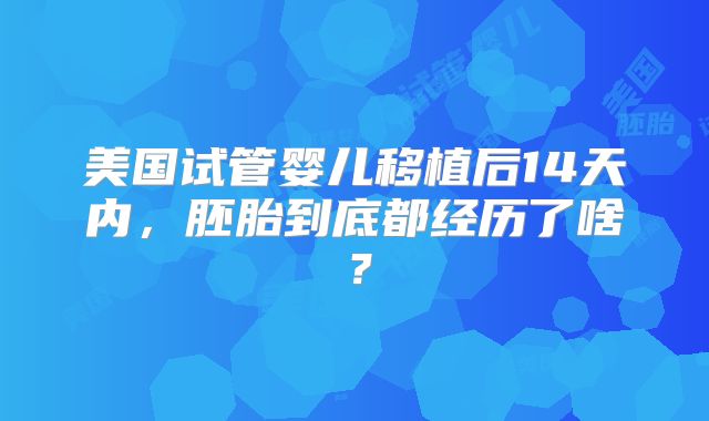 美国试管婴儿移植后14天内,胚胎到底都经历了啥?