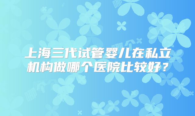 上海三代试管婴儿在私立机构做哪个医院比较好？