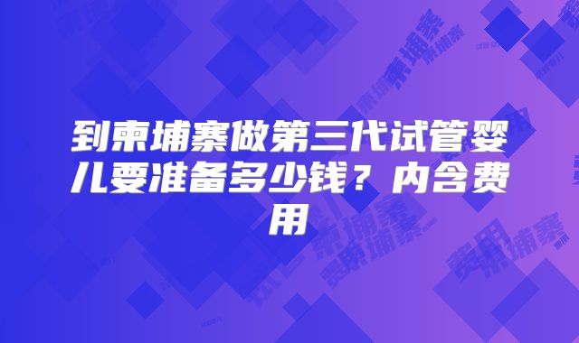 到柬埔寨做第三代试管婴儿要准备多少钱?内含费用