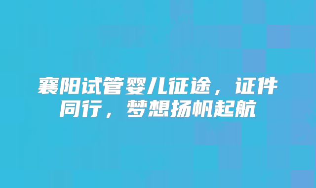 襄阳试管婴儿征途,证件同行,梦想扬帆起航