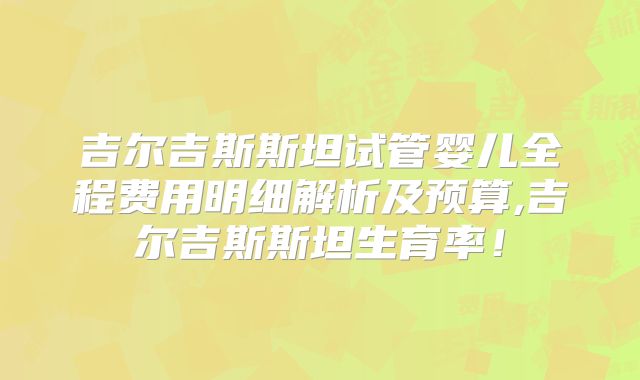 吉尔吉斯斯坦试管婴儿全程费用明细解析及预算,吉尔吉斯斯坦生育率！