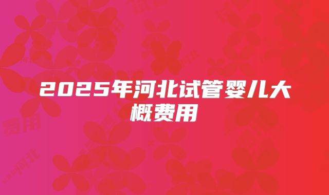 2025年河北试管婴儿大概费用