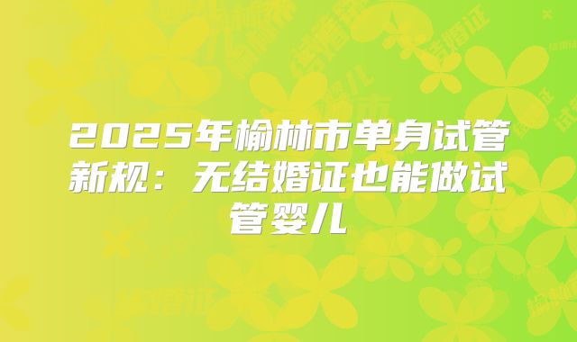 2025年榆林市单身试管新规：无结婚证也能做试管婴儿