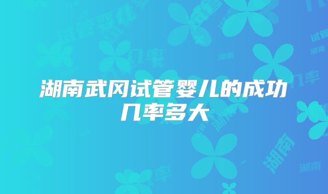 湖南武冈试管婴儿的成功几率多大