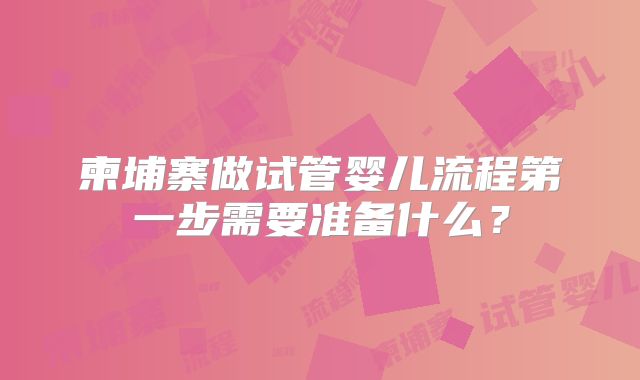 柬埔寨做试管婴儿流程第一步需要准备什么?