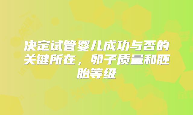 决定试管婴儿成功与否的关键所在,卵子质量和胚胎等级