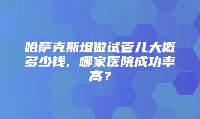 哈萨克斯坦做试管儿大概多少钱, 哪家医院成功率高?